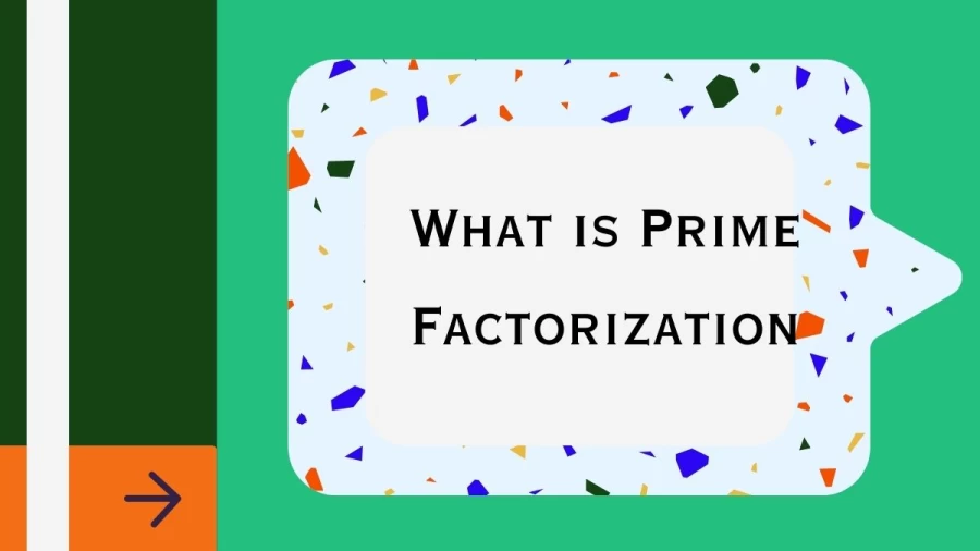 Discover What is Prime Factorization? Here and unravel the secrets of numbers. Learn how to break down any integer into its unique prime factors with this comprehensive guide.