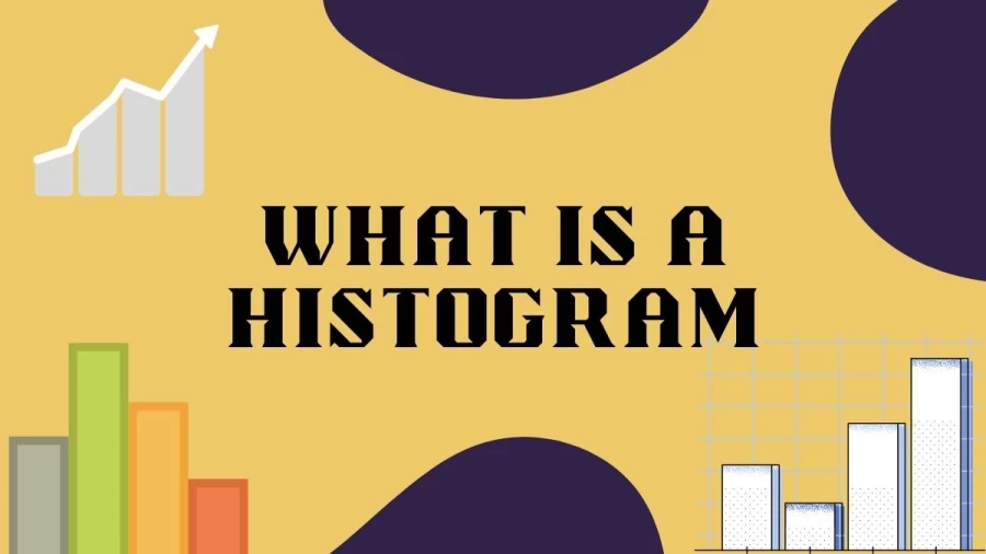 Discover What is a Histogram and how it visually represents data distributions. Explore the power of this statistical tool in analyzing and understanding the spread, shape, and central tendency of your data. Uncover the insights hiding within your datasets with the help of histograms.