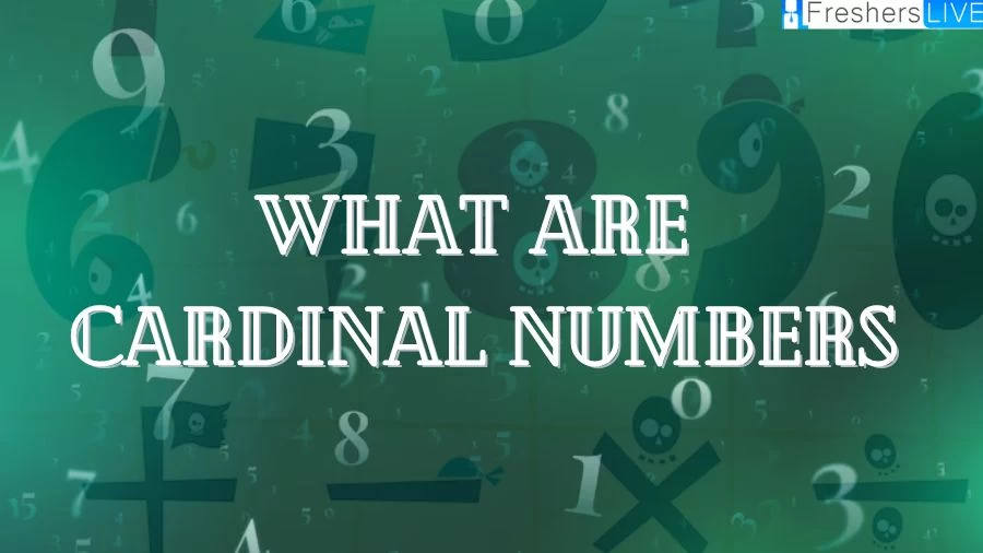 Explore the concept of cardinal numbers and their fundamental role in counting and enumerating objects in mathematics.