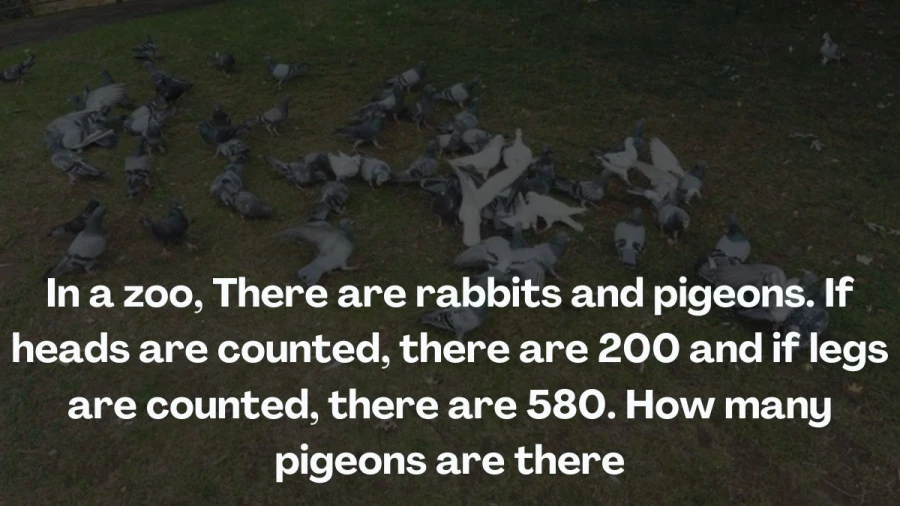 Imagine a zoo with rabbits and pigeons. With 200 heads and 580 legs counted, how many of these creatures are pigeons?