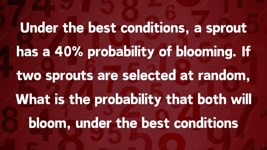 Explore the garden of statistical outcomes where two sprouts, under optimal circumstances, hold a 40% probability of jointly blooming.